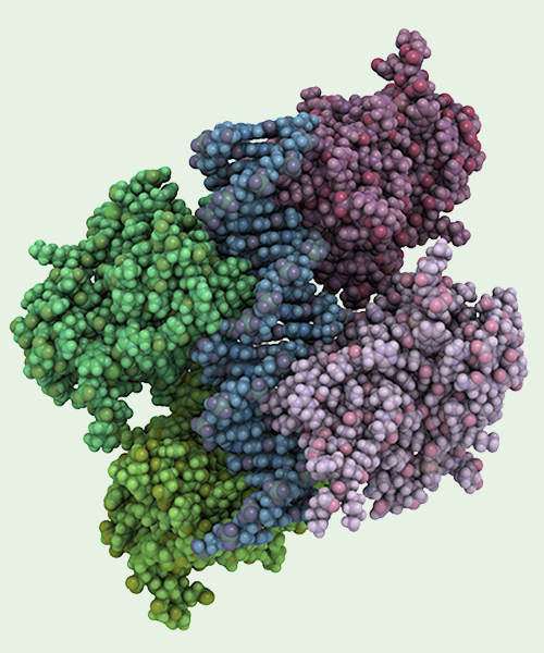 Creative BioMart Protein, Native Protein, GMP Protein And